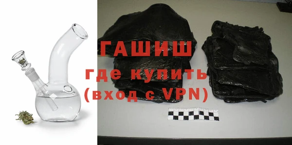 прущие грибы Новозыбков