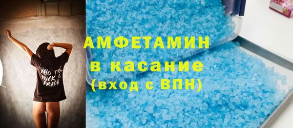 прущие грибы Новозыбков